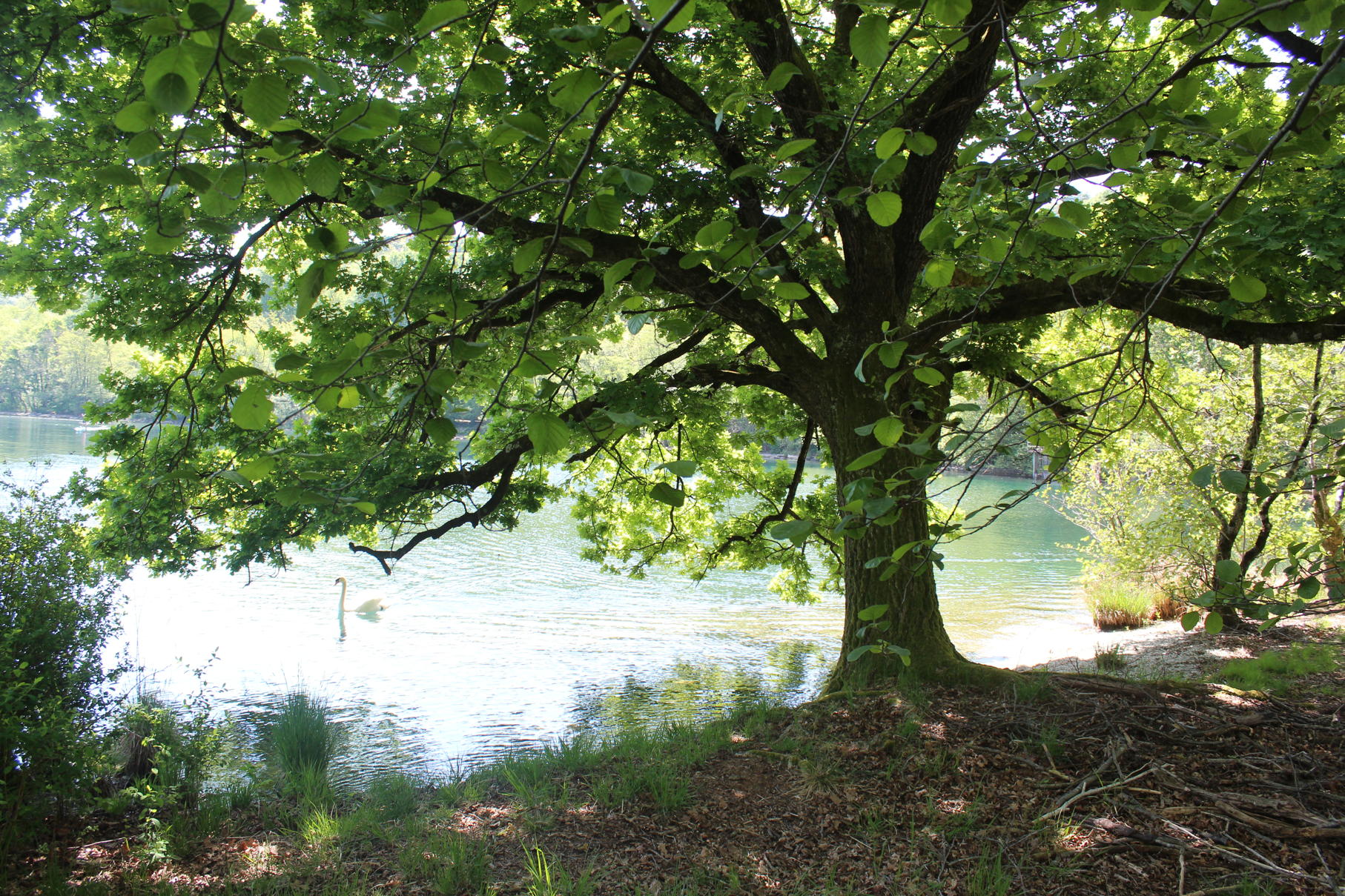 4 - Pella, Gozzano, Lago d’Orta – Appartamenti e villa con vista mozzafiato sul lago e sull’isola, spiaggia privata e posto barca. PELLA